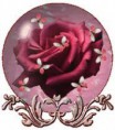 /album/rozen-/roos-in-bol-jpg1/